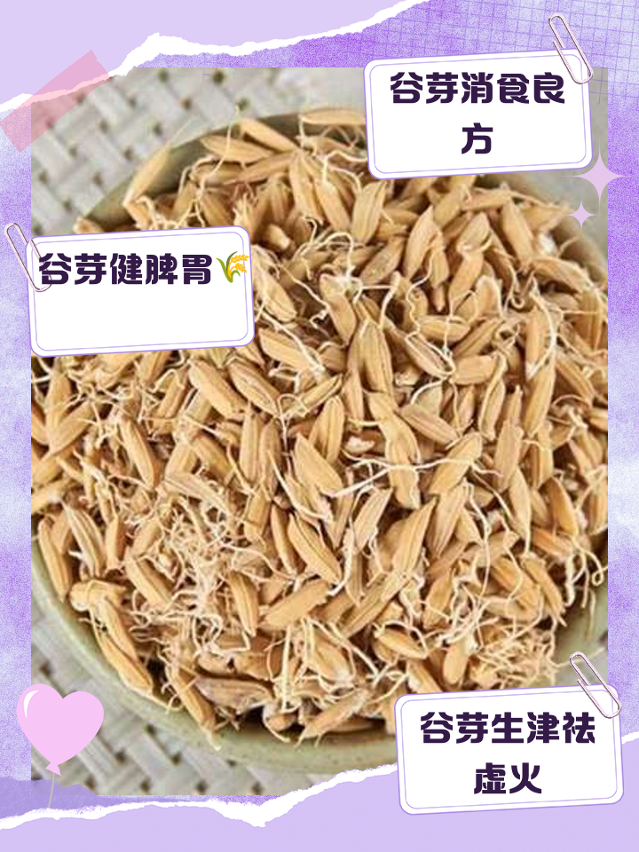 谷芽饵料(谷芽钓鱼怎么拿谷芽打窝)