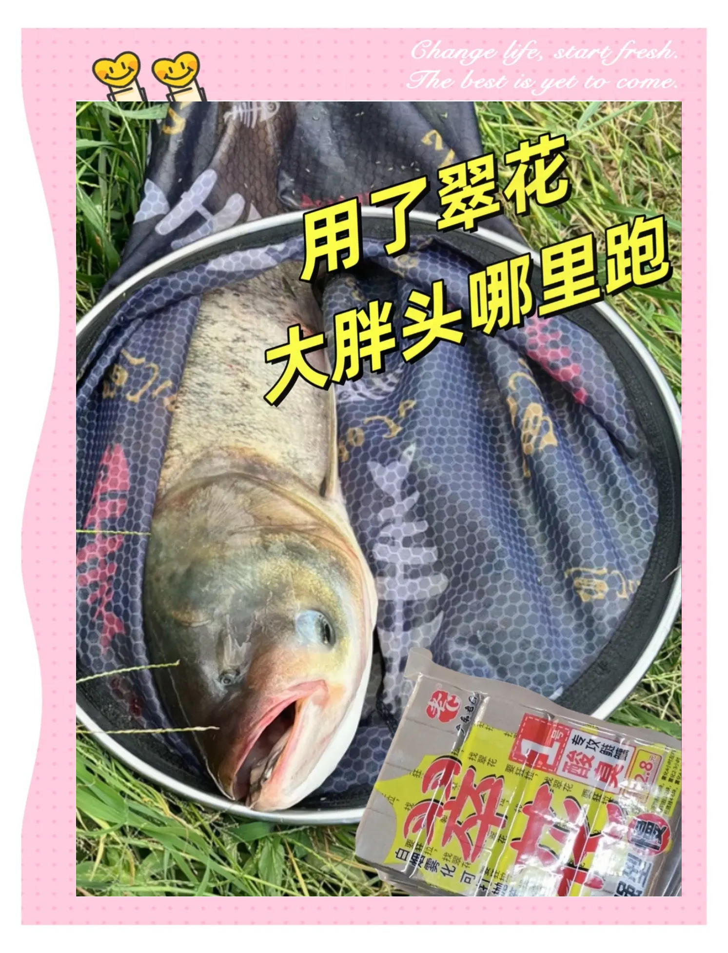 邕江禾花鱼饵料(排名第一鲤鱼饵料)