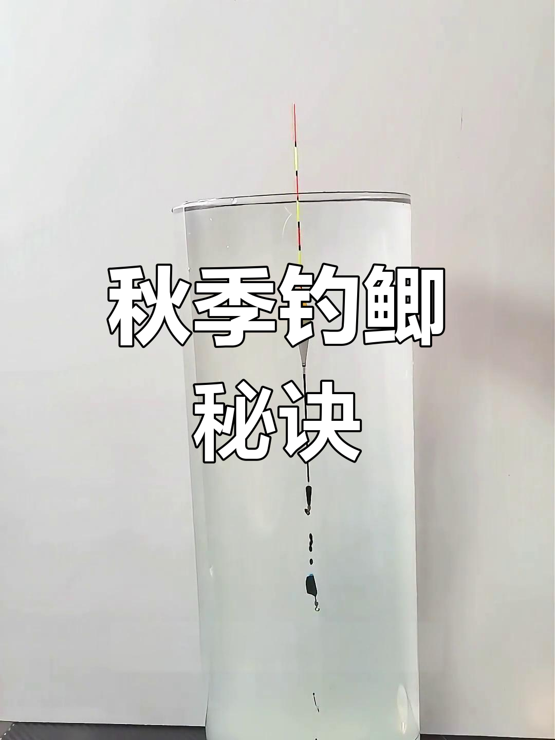 秋季商品饵怎么搭配技巧(秋季饵料用什么味型最好)