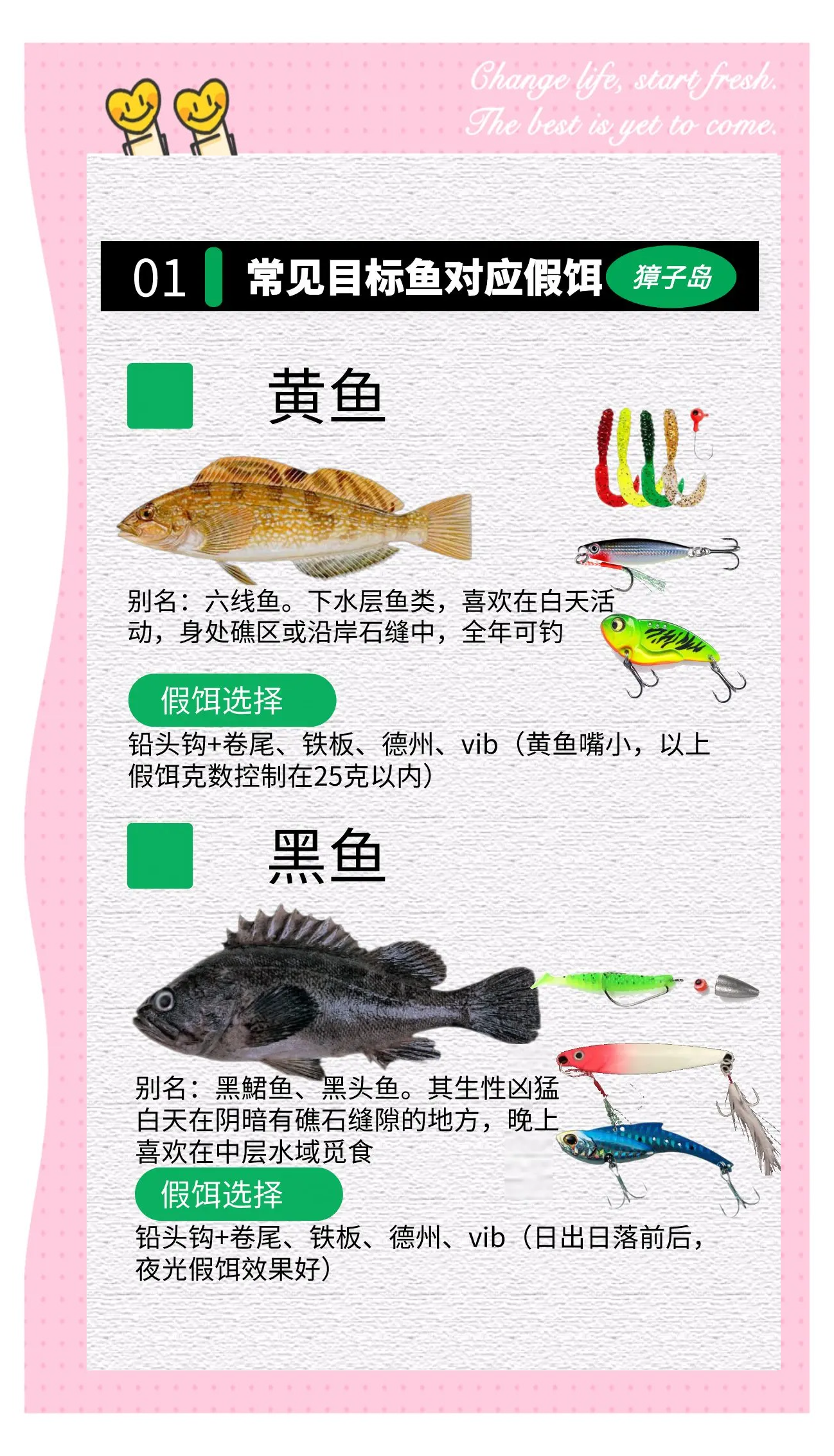 路亚假饵术语(路亚所有假饵使用技巧)