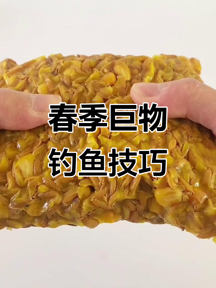 谷麦钓鱼找位置技巧(谷麦钓鱼找位置技巧图解)