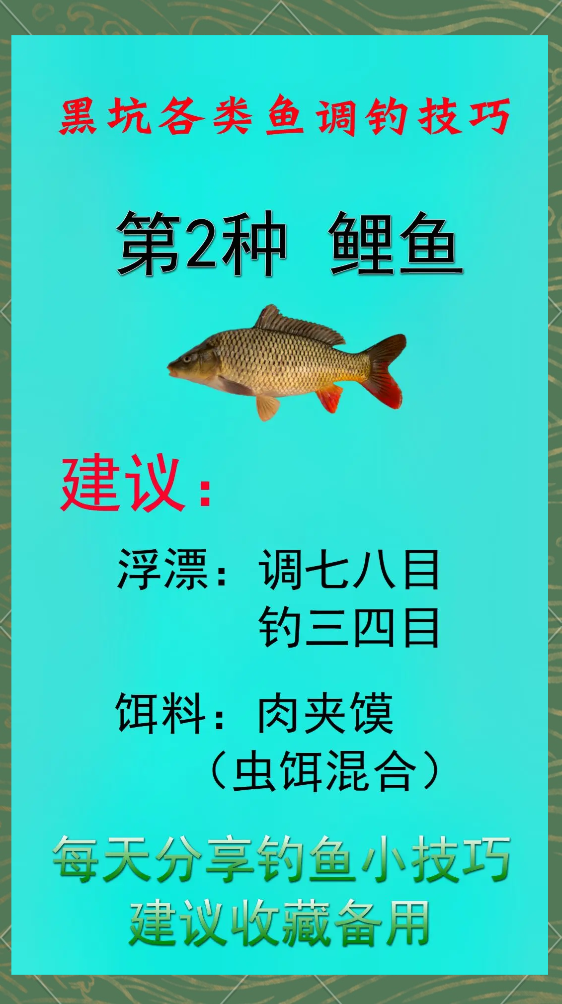 黑坑磕鱼技巧(黑坑调水高手多年不清坑)