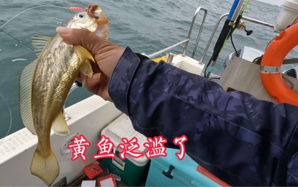 海边钓黄鱼技巧(海边钓黄鱼黑鱼用什么鱼饵好)