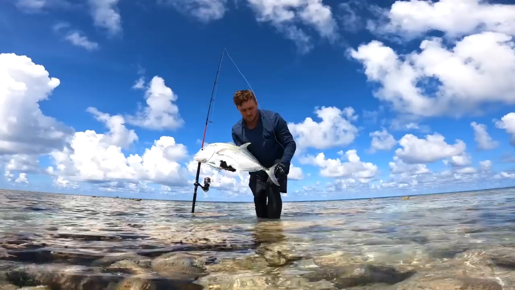 海钓鱼有多少种(海钓鱼常见种类)