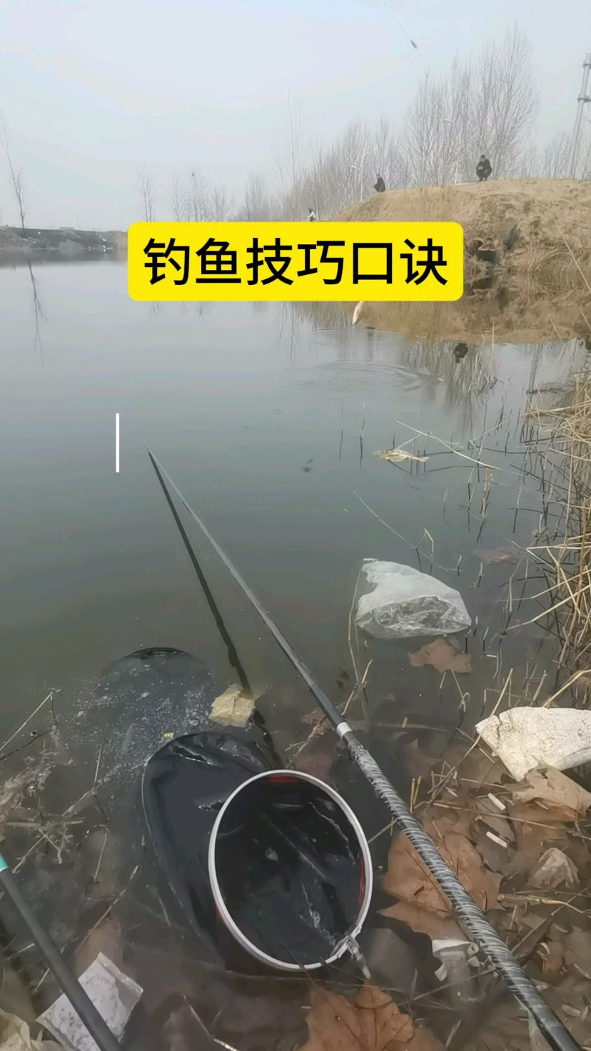 淡水根钓技巧(淡水鱼钩的种类图片)
