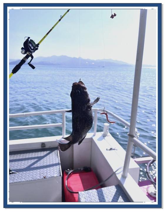 威海海钓船图片(威海海钓船图片大全)
