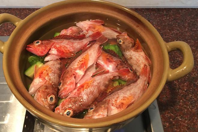 海钓船钓虎头鱼(海钓船钓虎头鱼怎么钓)