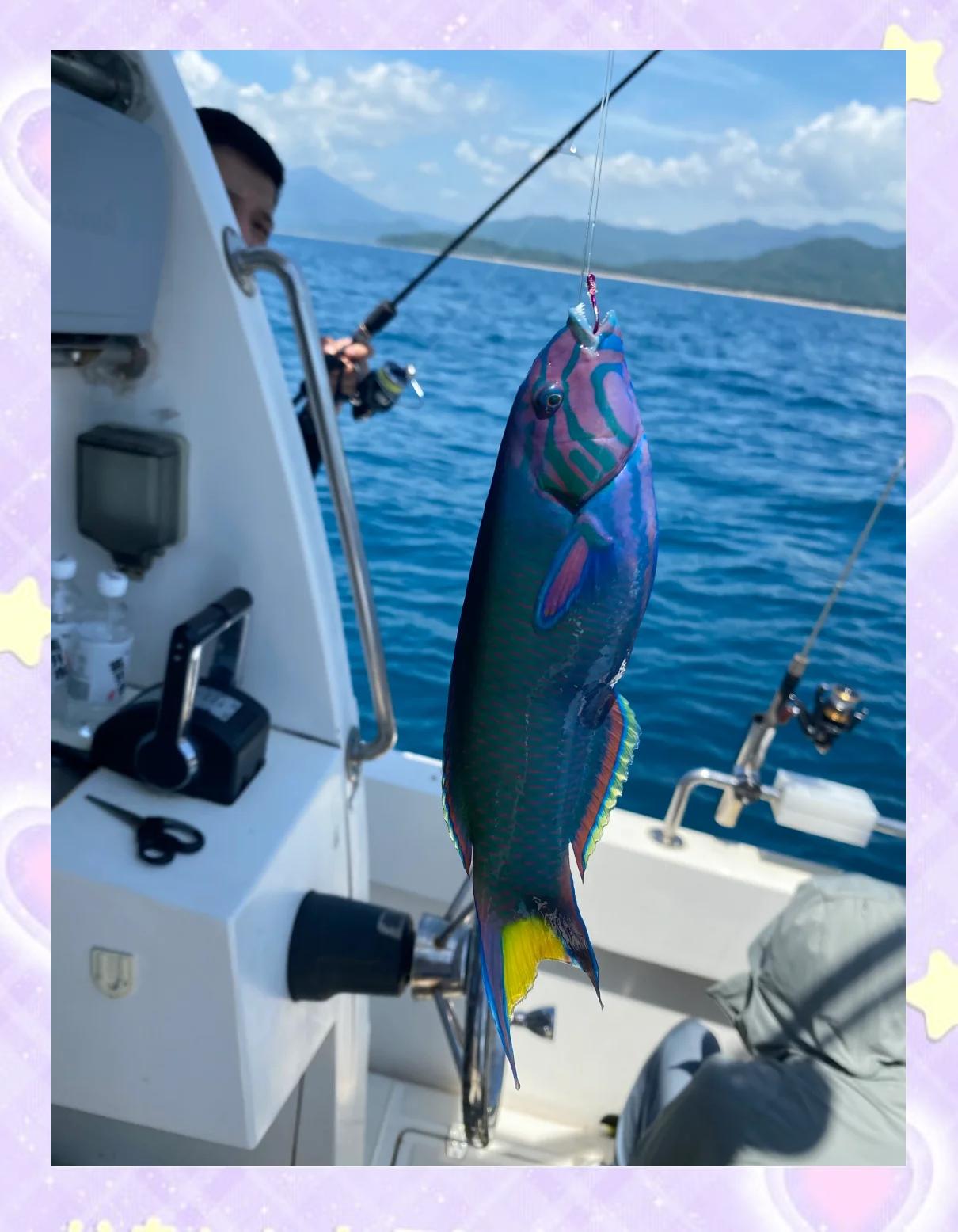 万宁海钓鱼(万宁野钓)