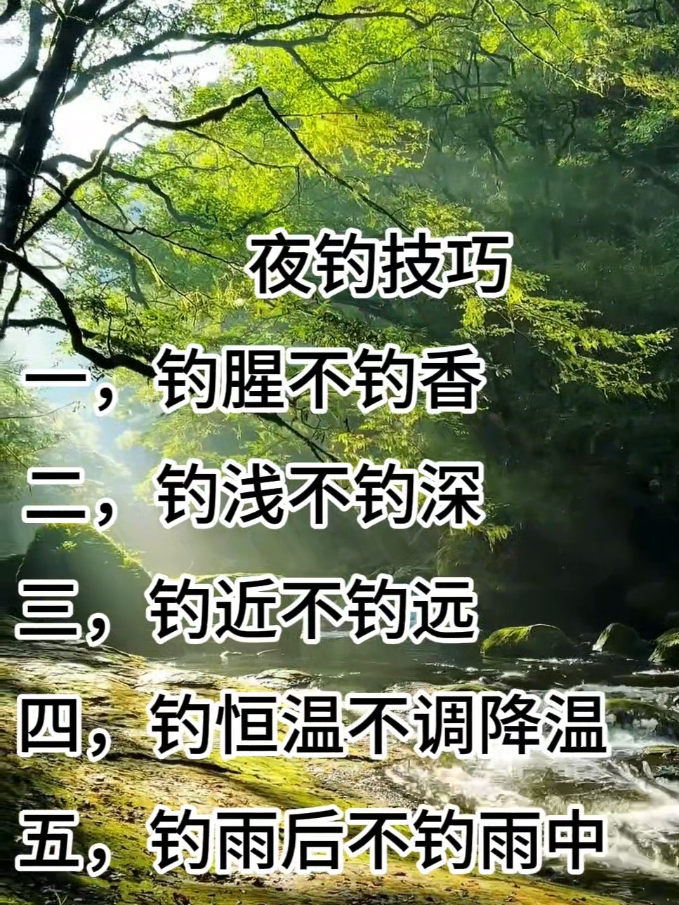手杆夜钓技巧视频(夜钓鱼杆)
