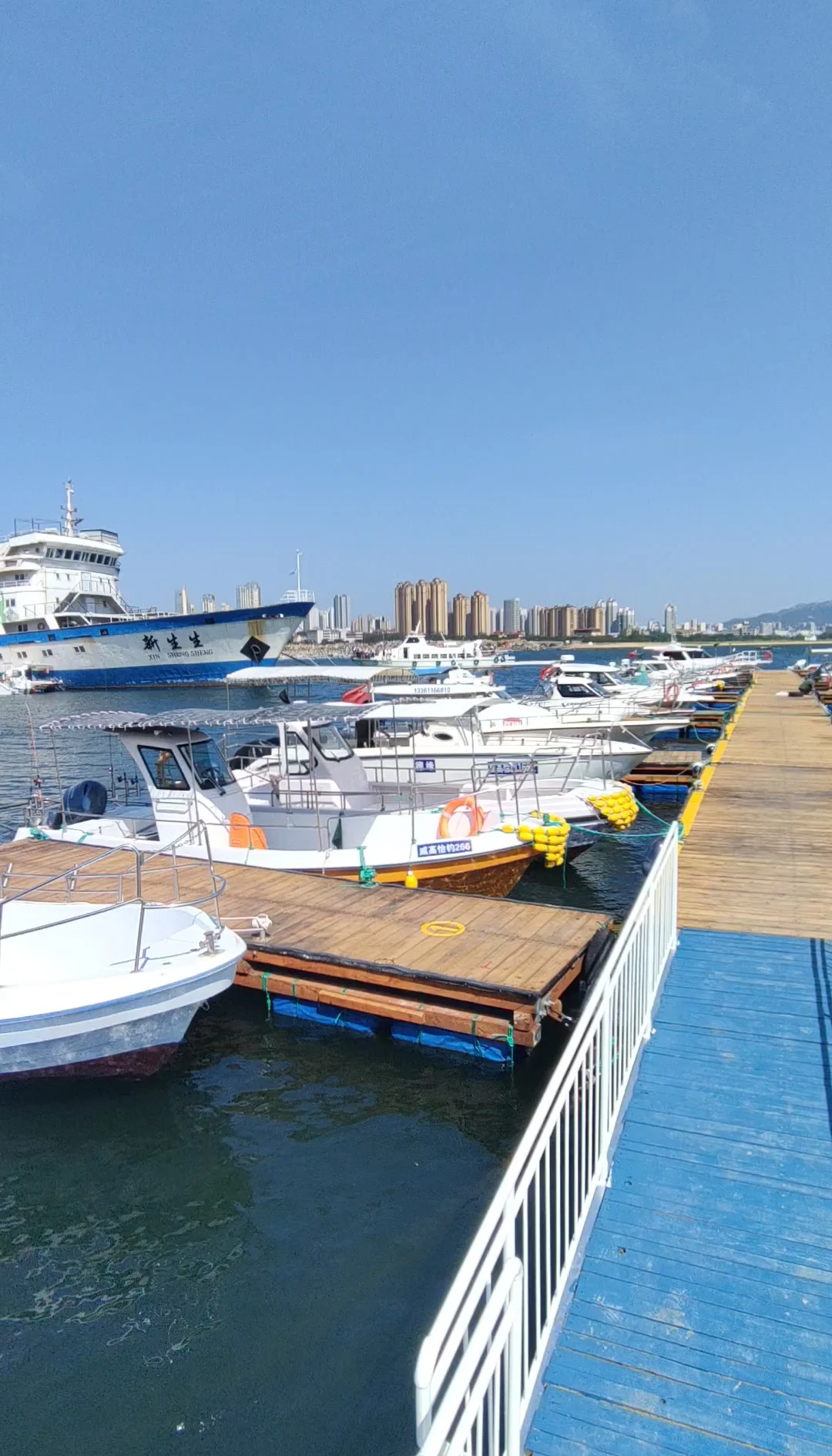 威海海钓哪里好(山东威海海钓攻略)