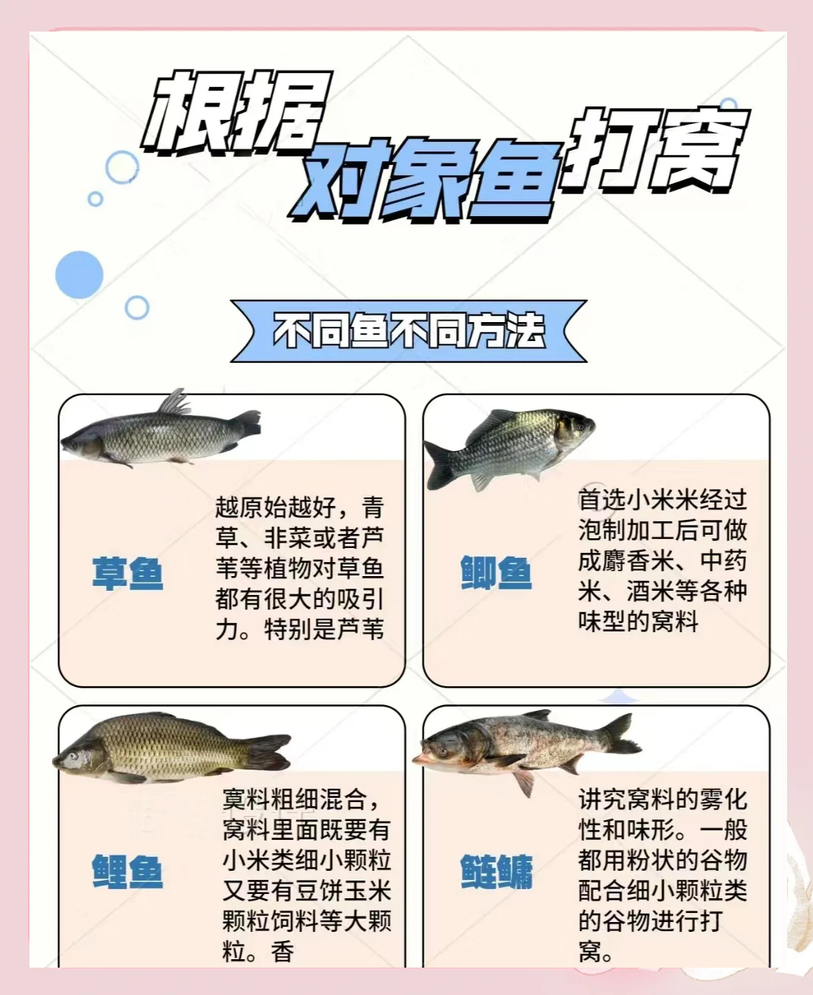 野生塘钓鱼打窝技巧(野塘打窝用什么饵料)