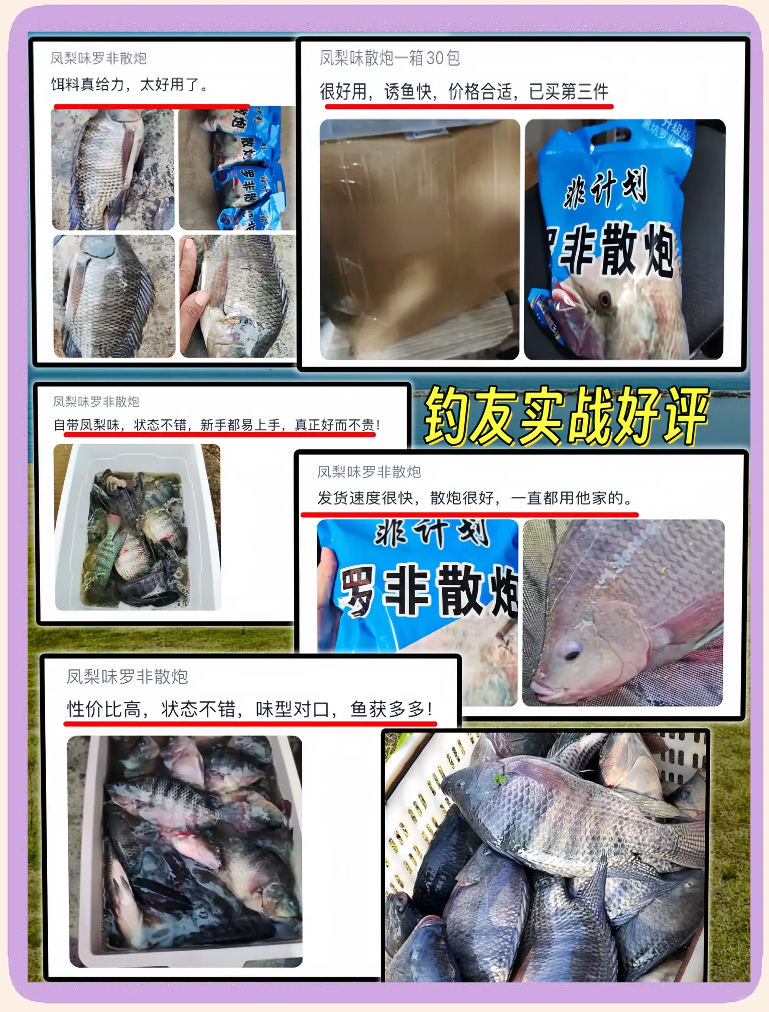 广东罗非饵料新配方(广东钓罗非用什么小药)