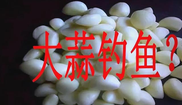 钓鱼技巧之家大祘钓鲤鱼(怎样钓大鲮鱼)