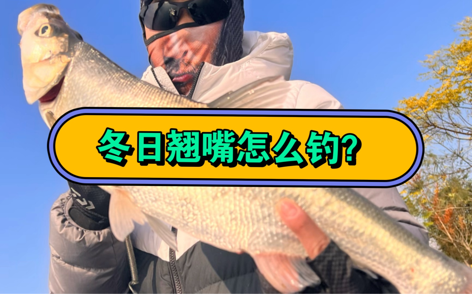 冬天翘嘴技巧(冬天钓翘嘴要钓多深水)