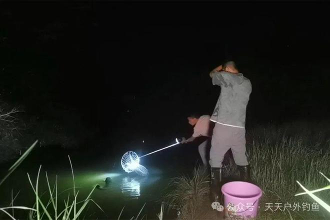北方夏季夜钓技巧(初冬北方夜钓用饵技巧)
