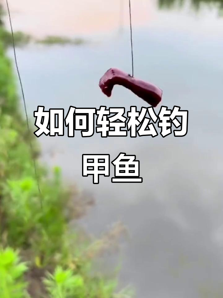 钓鳖有什么技巧(钓鳖的方法)