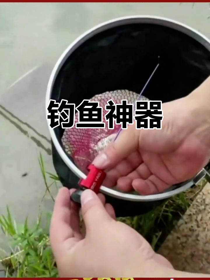 手抓鲫鱼取钩技巧(抓鲫鱼用什么饵最好)