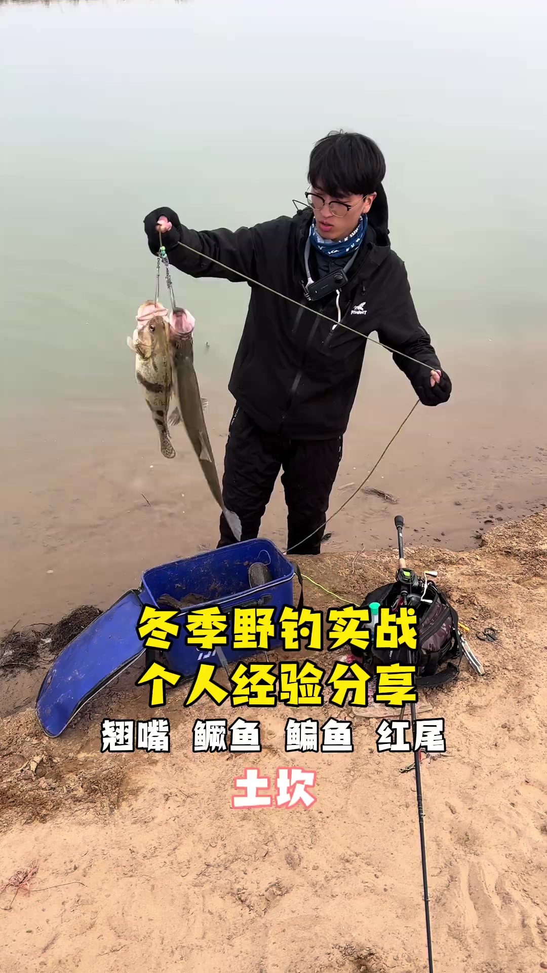 黄辣丁怎么路亚(黄辣丁路亚钓法技巧)