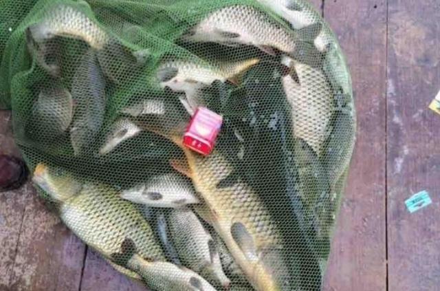 鱼竿手把处被饵料(鱼竿手把被手把胶染色)