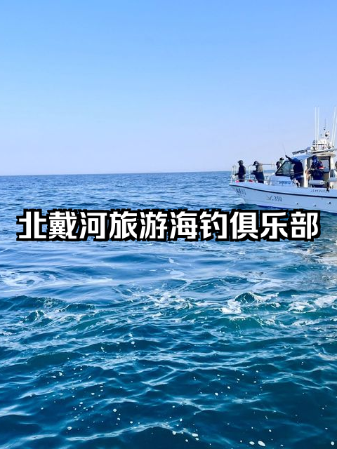 北戴河海钓几月开始(北戴河钓鱼好去处)