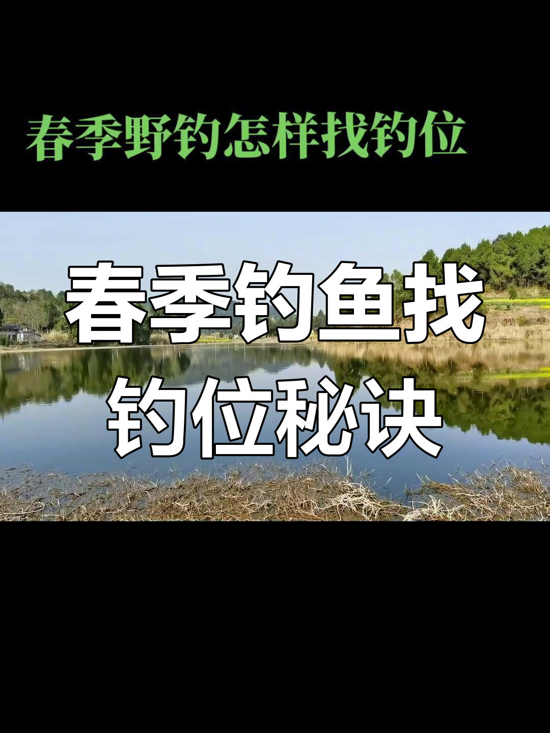 春季野钓钓鱼技巧视频(春季野钓钓鱼技巧视频讲解)