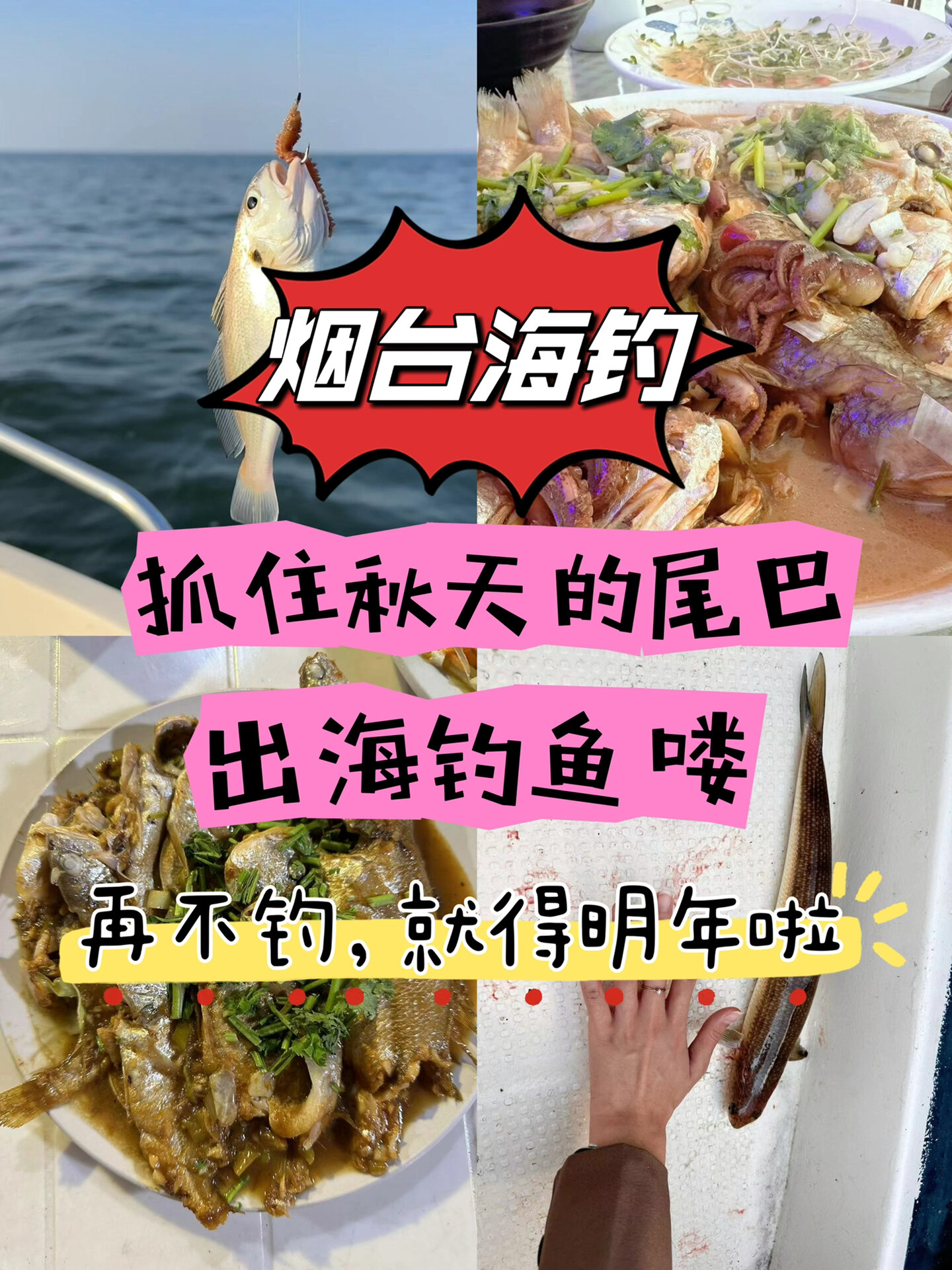 烟台海钓时间(烟台海边垂钓)