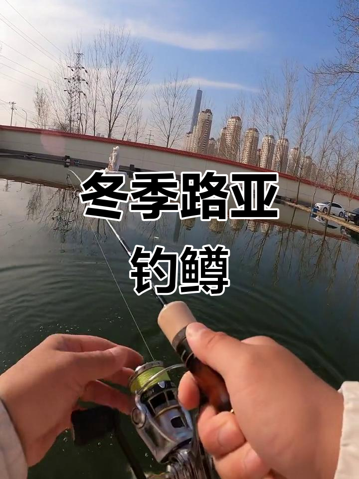 冬天路亚地点(冬天路亚什么鱼种)