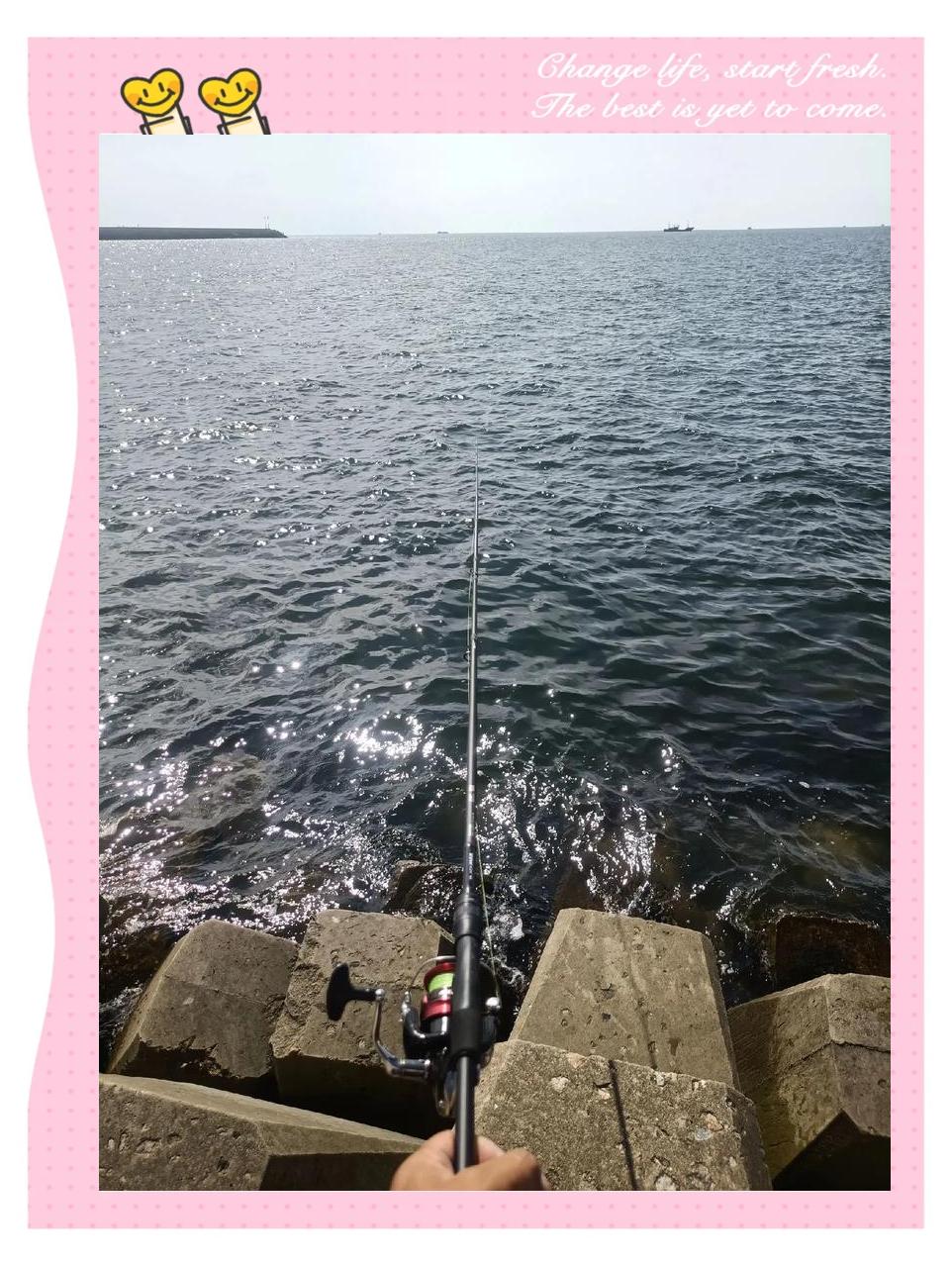 阳江海钓点(阳江哪里可以钓海鱼)