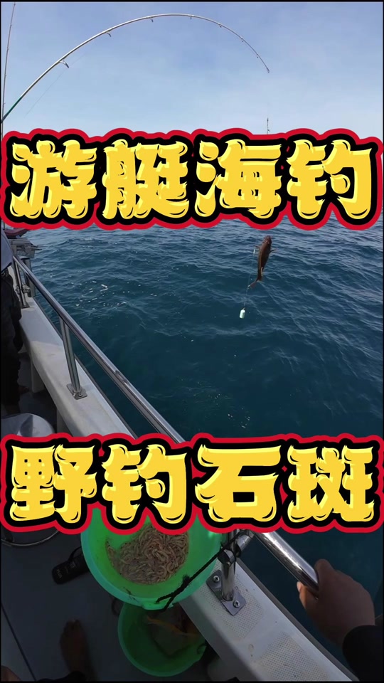 海南出海海钓(海南海钓攻略)