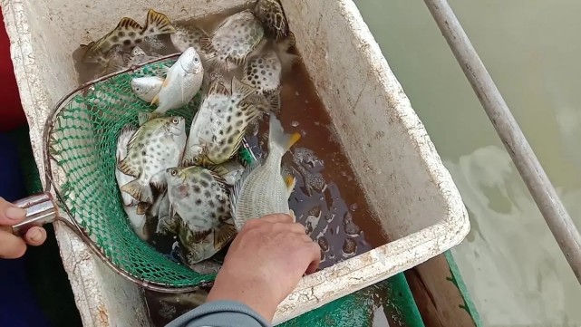 海钓361井架子位置(海平面上升61米后的中国)