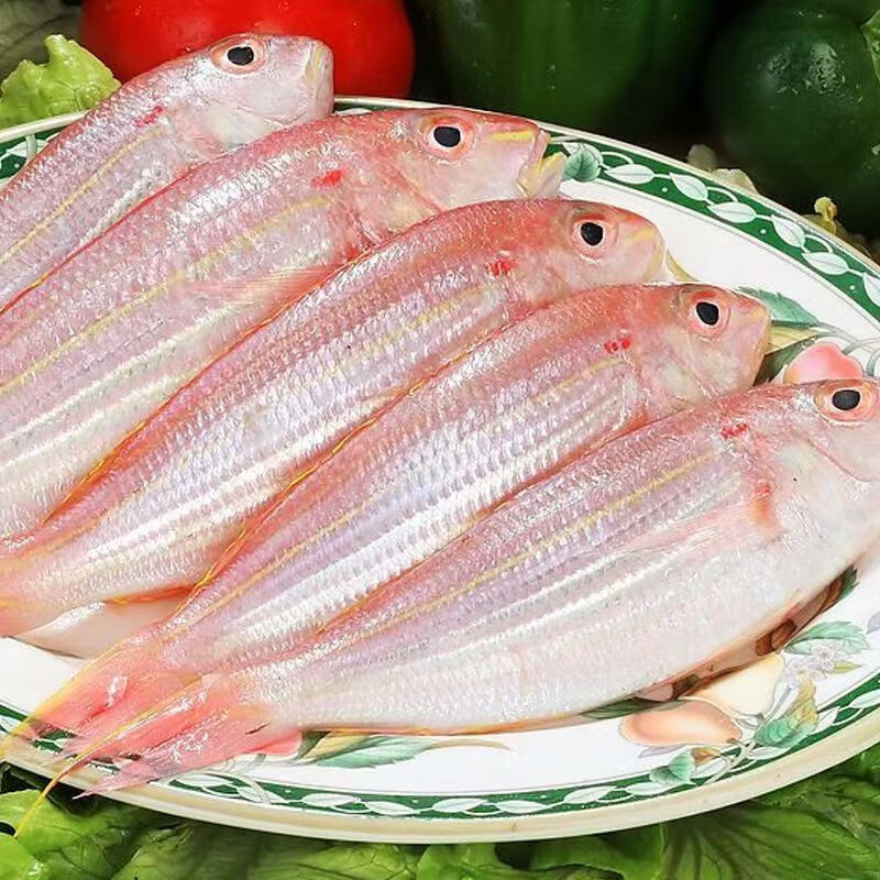 冻料可以海钓吗(用冻料钓鱼可以通杀吗)