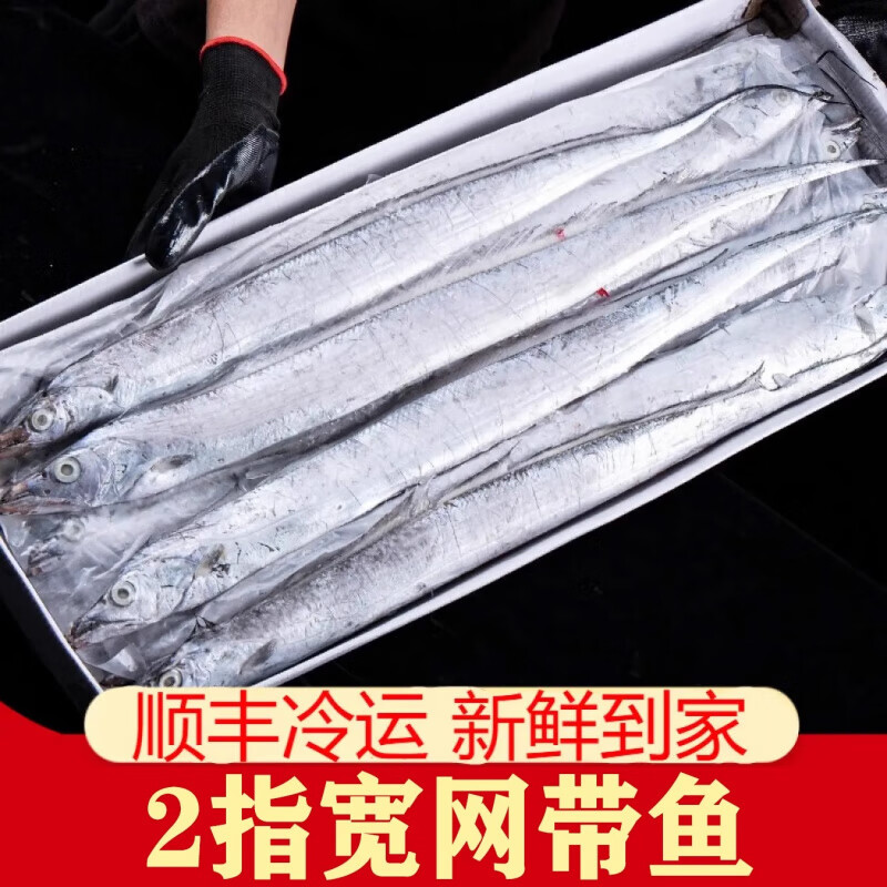 冻料可以海钓吗(用冻料钓鱼可以通杀吗)