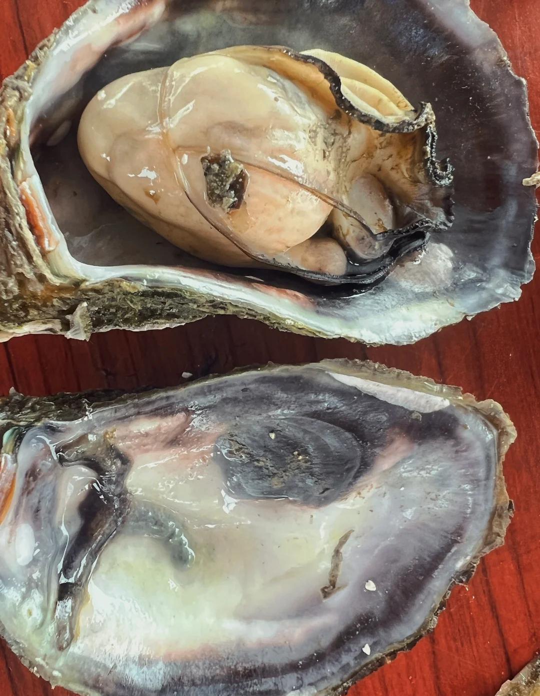 鱼排海钓教学(鱼排海钓线组图解)
