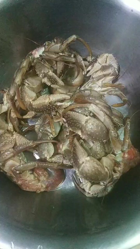 海钓沙蚕垂钓(海钓沙蚕垂钓视频大全)