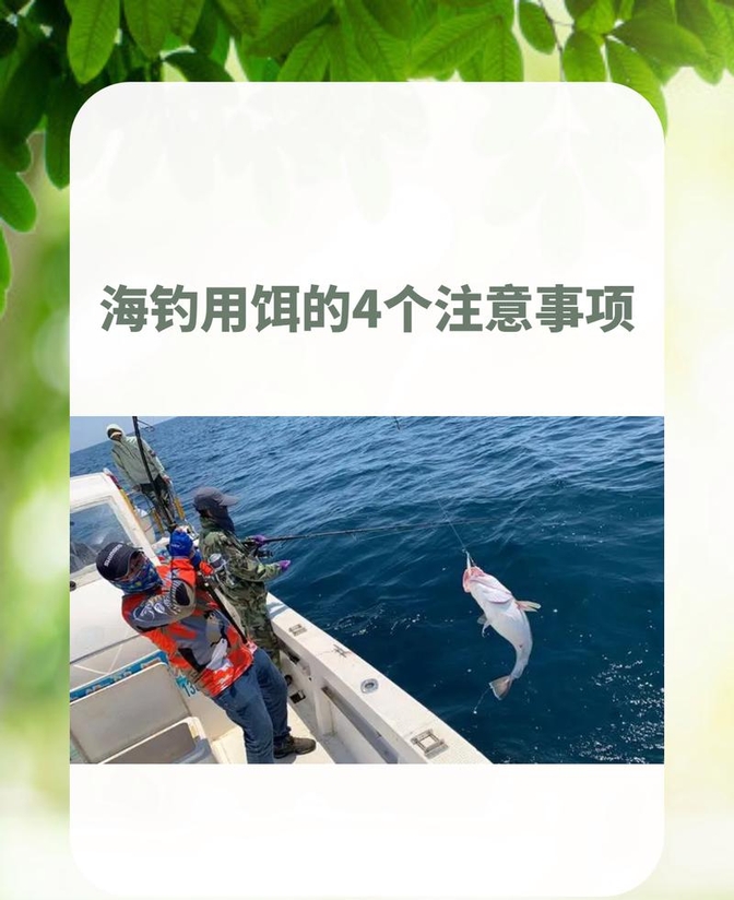 海钓沙蚕垂钓(海钓沙蚕垂钓视频大全)