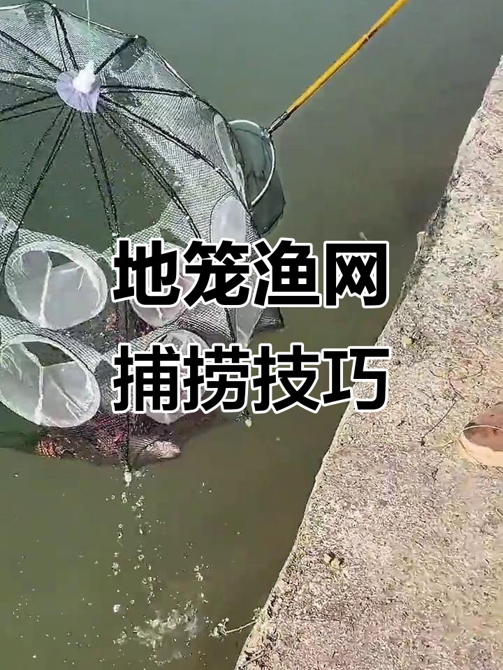 渔网捕鱼技巧(渔网捕鱼技巧图解)