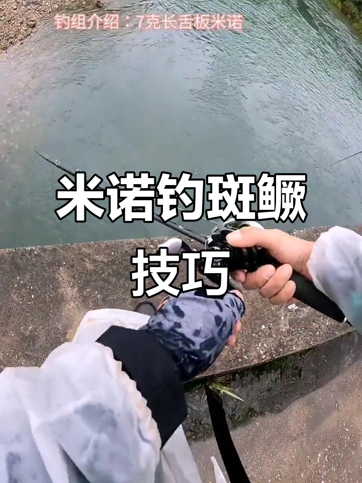 激流钓小鱼技巧(激流钓小鱼技巧视频)