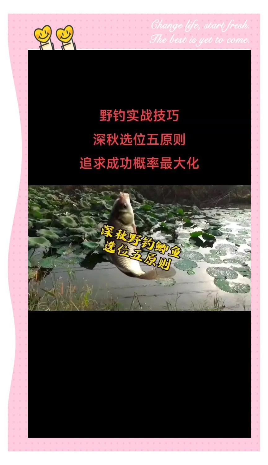 秋季湖库钓鲫鱼技巧视频(秋天湖里怎么钓鱼)