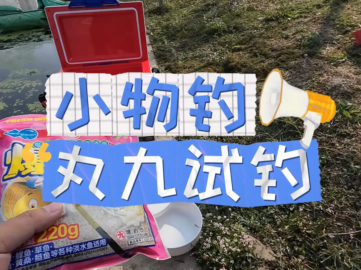 丸九饵料怎样搭配(丸九饵料详解)