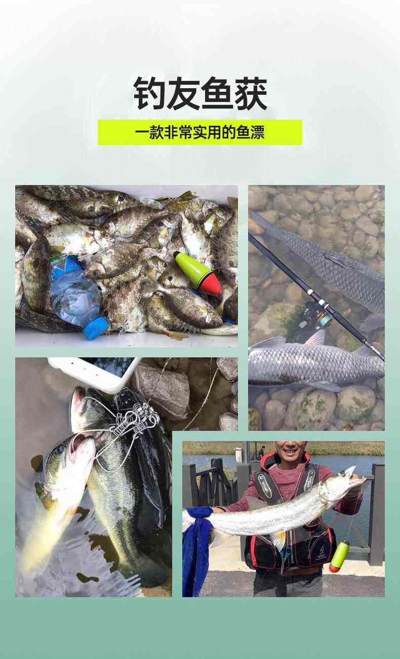 海钓鲈鱼用什么漂(海钓鲈鱼用漂还是钓底)