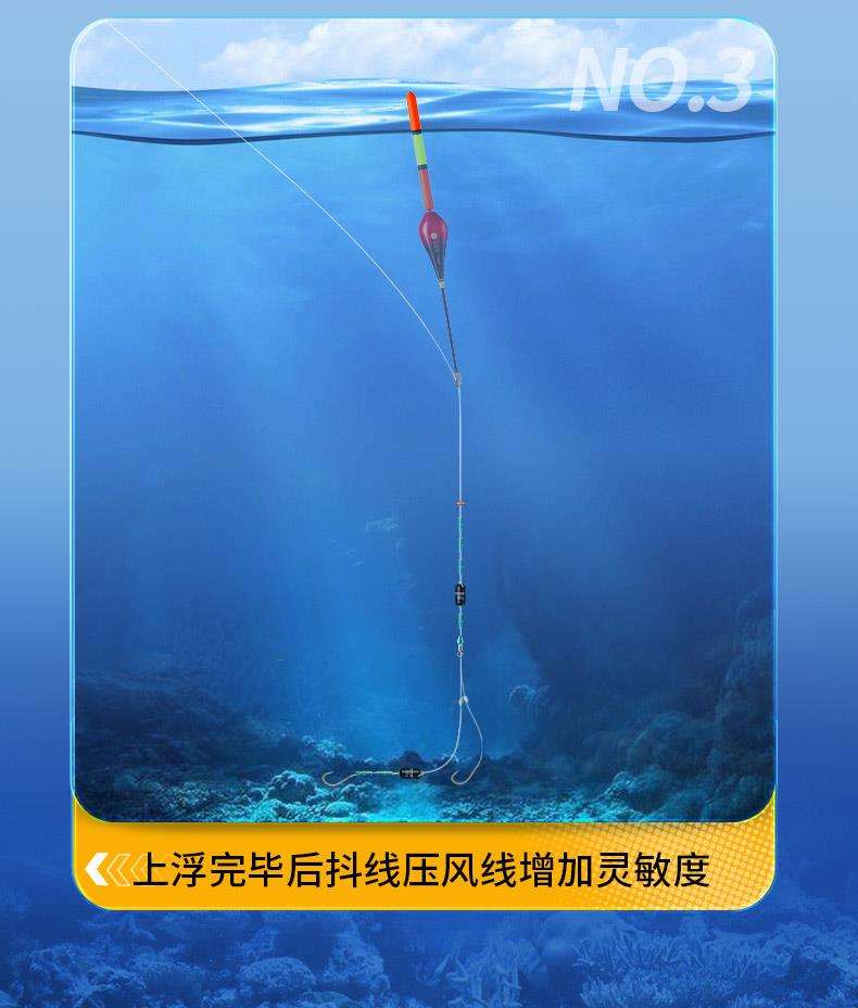 海钓鲈鱼用什么漂(海钓鲈鱼用漂还是钓底)