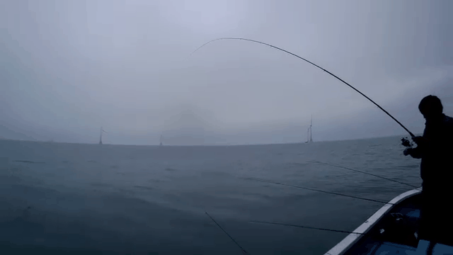 下雨天海钓(海钓下雨天能钓钓鱼吗)
