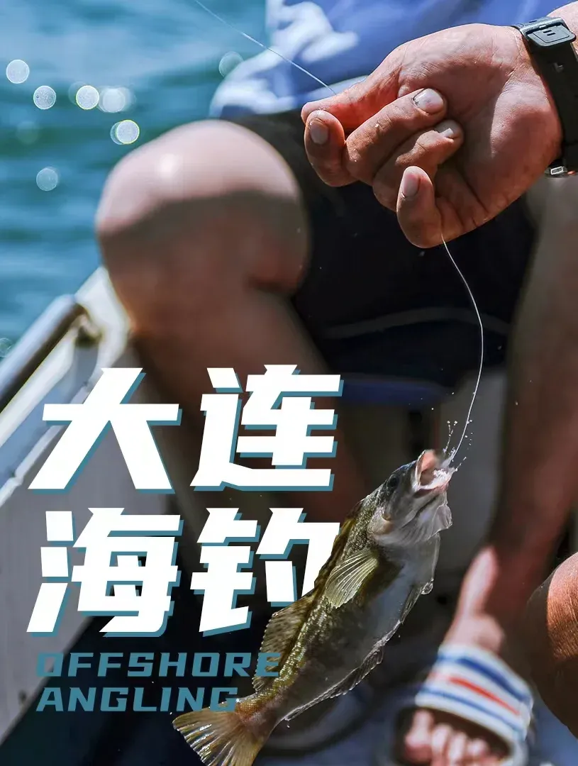大连海钓直播在线观看(2020年大连海钓视频)