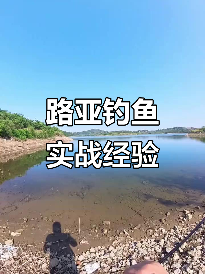 安吉路亚钓点(口碑最好十大路亚竿)