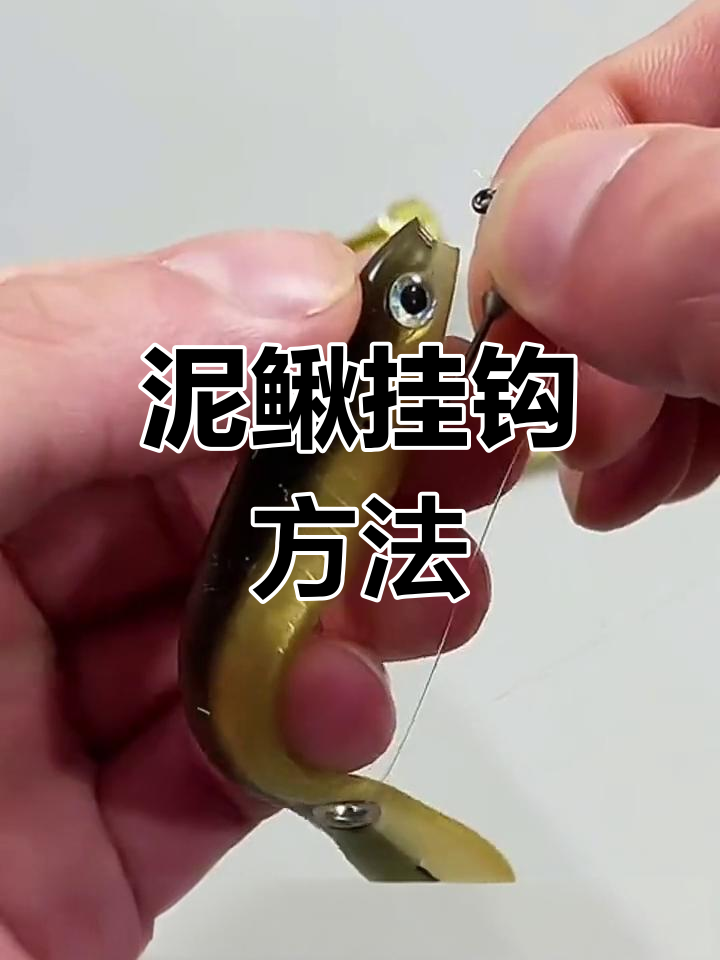 泥鳅晚上钓鲈鱼的技巧(用泥鳅钓鱼晚上好还是白天好)