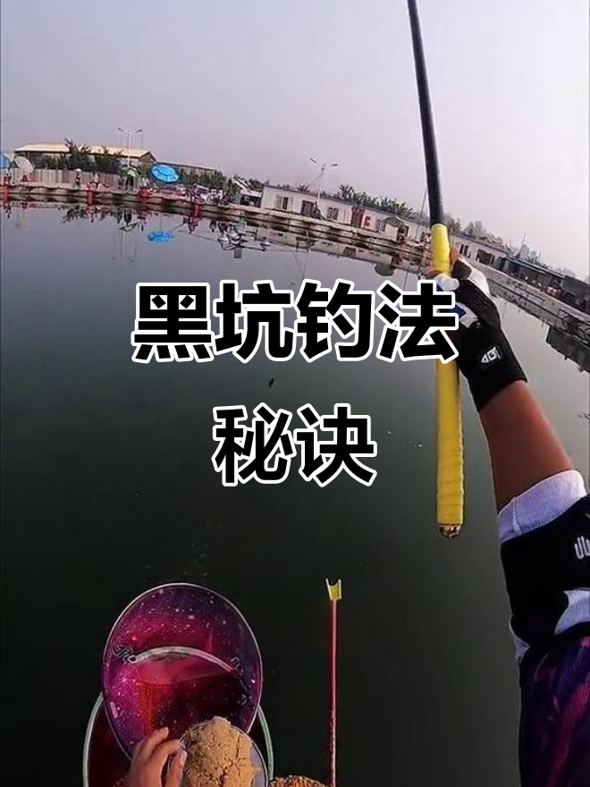 夏季早上黑坑钓鱼技巧(早晨黑坑钓鲤鱼钓什么位置)