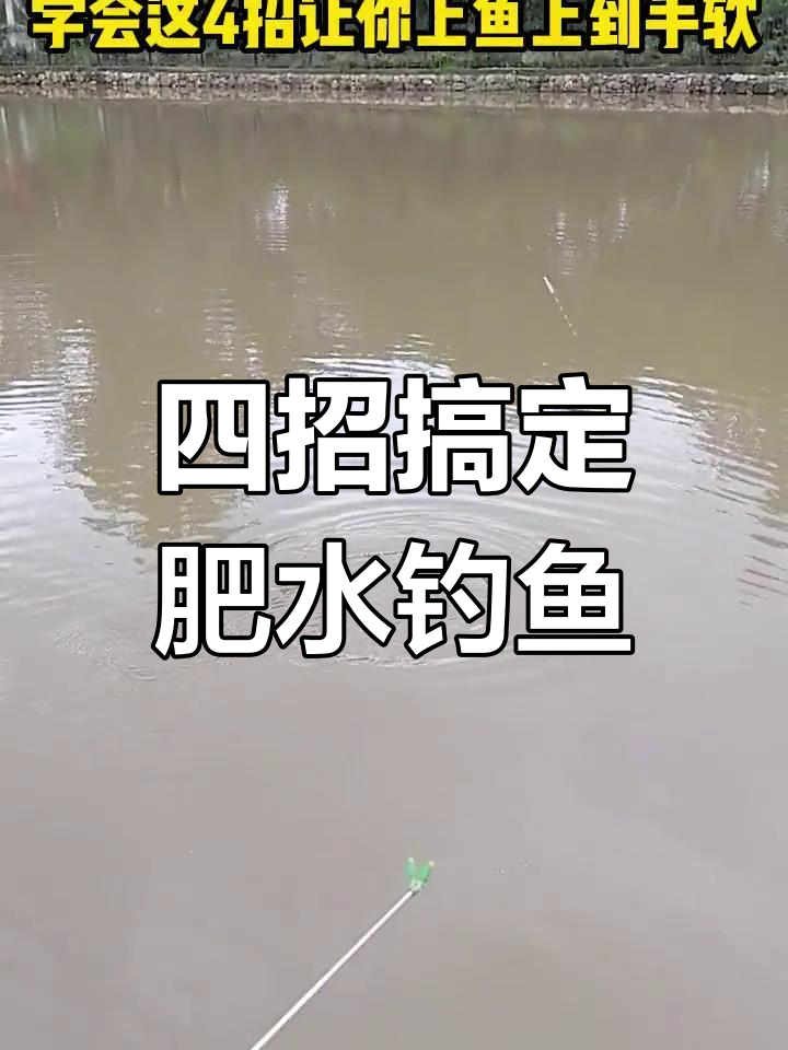 夏季早上黑坑钓鱼技巧(早晨黑坑钓鲤鱼钓什么位置)