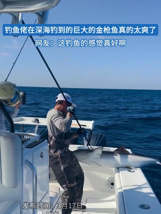海钓遭枪击视频(海钓大鱼视频完整版)