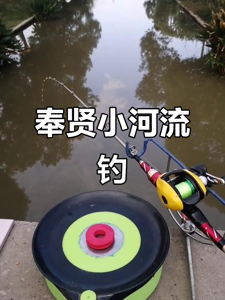 上海钓鱼免费(上海免费钓点)