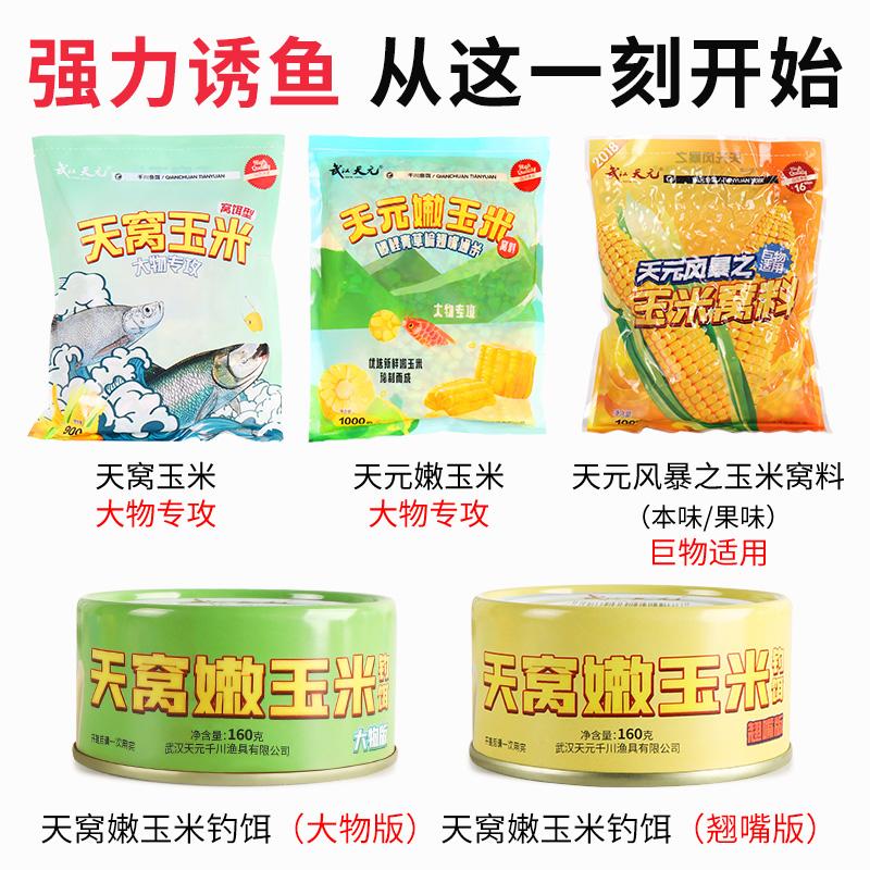 玉米饵料的应用(玉米作饵)